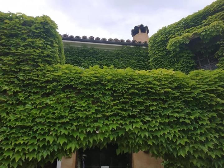 Hotel La Posada De Lalola Buera Luaran gambar
